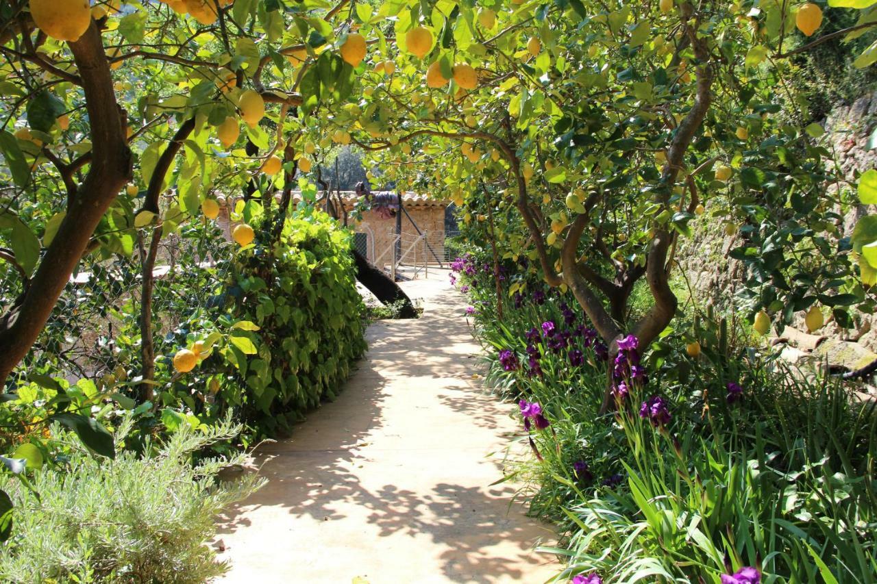 Ca Na Menga Villa Soller Ngoại thất bức ảnh